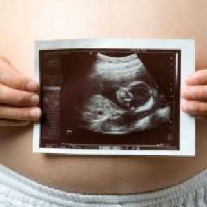 21 Недели од бременоста - феталната големина
