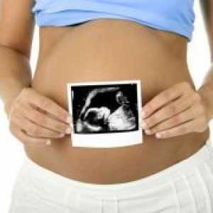 22 Недели од бременоста - феталните движења
