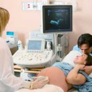 35 Недели од бременоста - тежина на фетусот