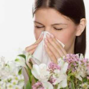 Алергии во крајот на јули - почетокот на август