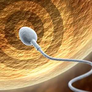 Анализи: сперма