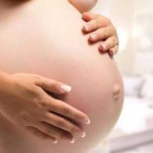 Тестови за време на бременоста