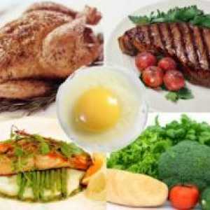 Протеинска исхрана: Мени