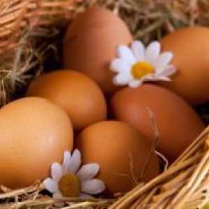 Јајце протеини - калорична