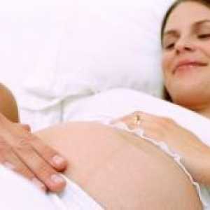 Бременост 28 недели - фетусот движење