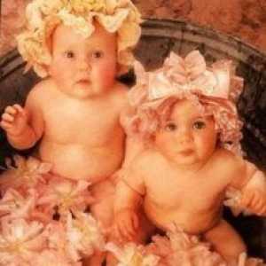 Бременост со близнаци