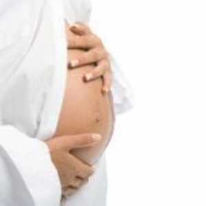 Бременоста, кога стомакот ќе почне да расте?
