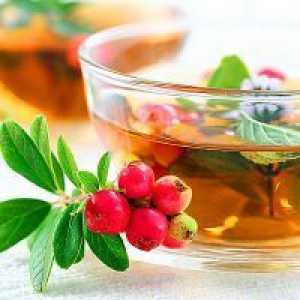 Чај Глог - придобивките и штетите