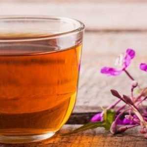 Чај направен од fireweed - придобивките и штетите