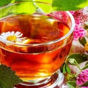 Чај направен од детелина - придобивките и штетите