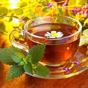 Чај "Daisy" - придобивките и штетите