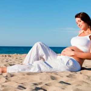 Што е опасно за една бремена тен?