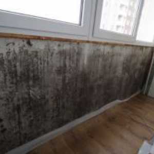 Како да се отстрани мувла од ѕидовите во станот?