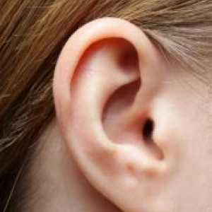 Што ако во увото е изложен на вода?