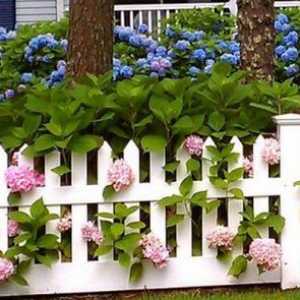 Декоративна пластика ограда