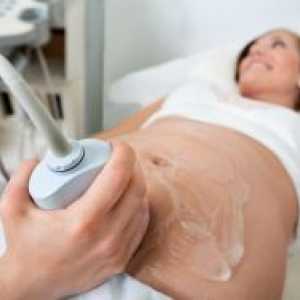 Доплер ултразвук во бременоста - што е тоа?