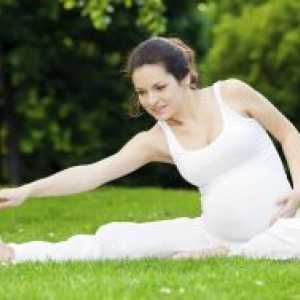 Фитнес за бремени жени - 1 мандат
