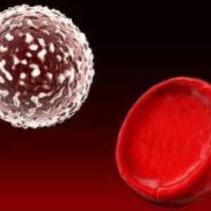 Гликозилиран хемоглобинот - норма