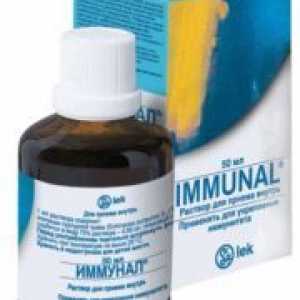 Immunal - аналози