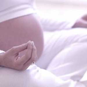Јога за бремени жени: Hatha јога видео