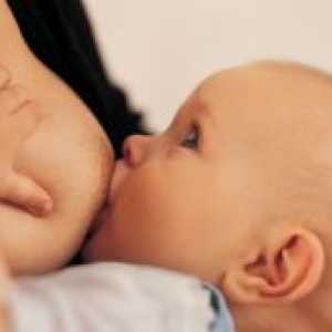 Колку често треба да се хранат новороденчето со мајчино млеко?