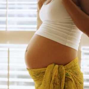 Како и кога може да се утврди полот на нероденото бебе?