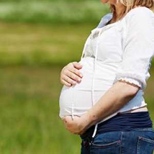Како ендометриумот за време на бременоста