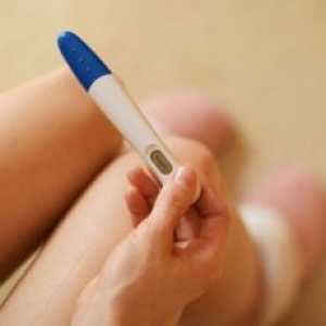 Како да го користите тест за бременост?
