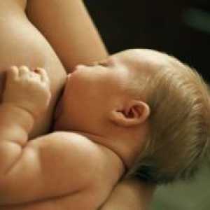 Како да се стави на бебето на дојка?