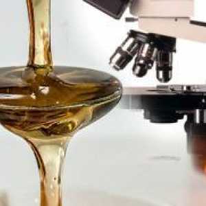 Како да се провери за природен мед?