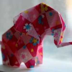 Како да се направи хартија од слон?