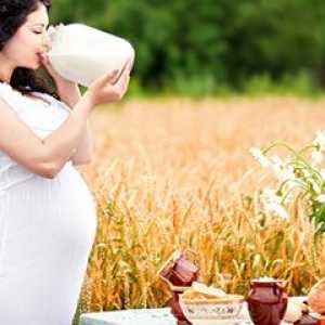 Како да се создаде исхрана за бремени