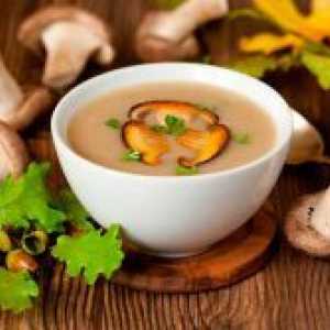 Како да се готви супа од сушени печурки?