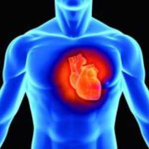 Како да се зајакне срцето и крвните садови?