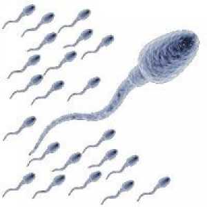 Како да се зголеми бројот на сперматозоиди?