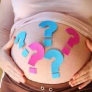 Како да дознаете полот на бебето?