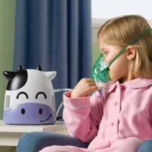 Како да се избере инхалатор?