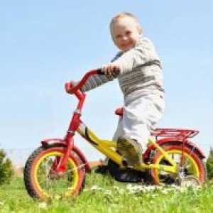 Како да се избере велосипед дете?