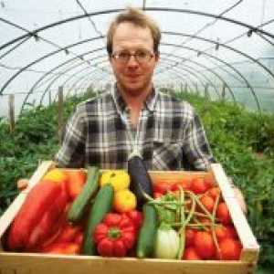 Како да расте садници на домати?