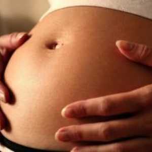 Како да се добие бремена со близнаци?