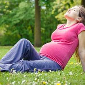 Што тестови помине во текот на бременоста