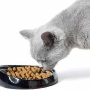 Што подобра храна за мачки?