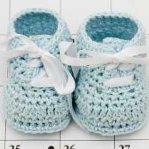 Бременост календарска недела по недела - близнаци