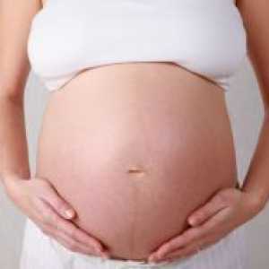Petrifies стомакот за време на бременоста