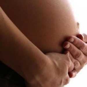 Голем фетусот за време на бременоста - знаци