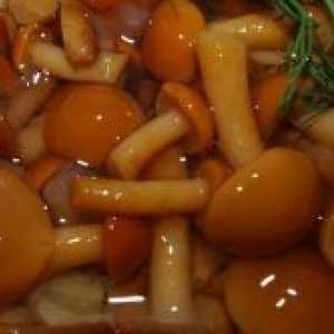 Маринирани печурки - рецепт