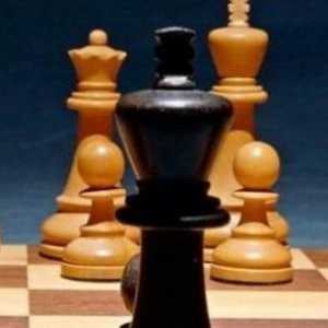 Меѓународниот ден на шахот