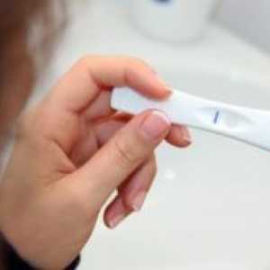 Може тестот да бидат негативни за бременост?