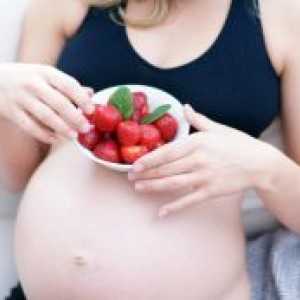 Може ли да има една бремена јагоди?