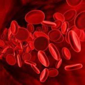 Норма тромбоцити во крвта на жените